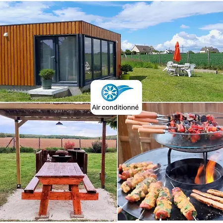 Moderne Avec Grandes Baies Vitrees Et Espace Plancha