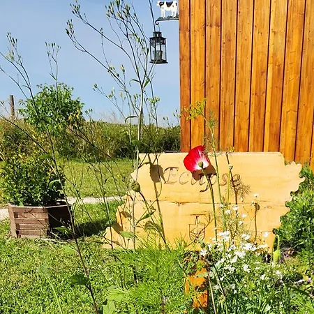 Moderne Avec Grandes Baies Vitrees Et Espace Plancha בקתה