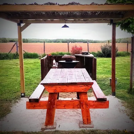 Moderne Avec Grandes Baies Vitrees Et Espace Plancha בקתה Bussy-le-Repos