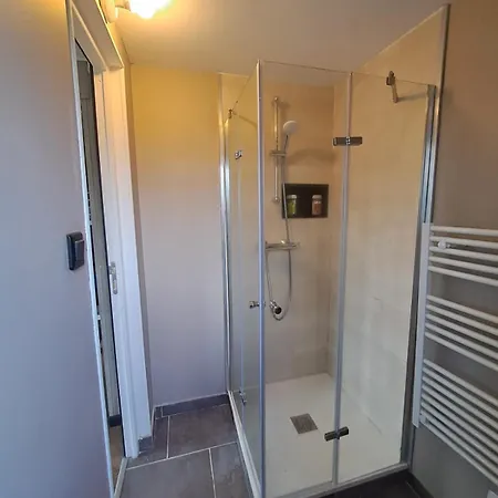 Moderne Avec Grandes Baies Vitrees Et Espace Plancha シャレー