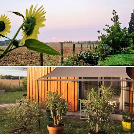 בקתה Moderne Avec Grandes Baies Vitrees Et Espace Plancha