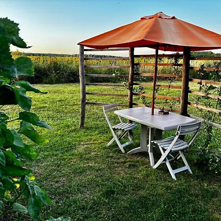 Moderne Avec Grandes Baies Vitrees Et Espace Plancha Bussy-le Repos