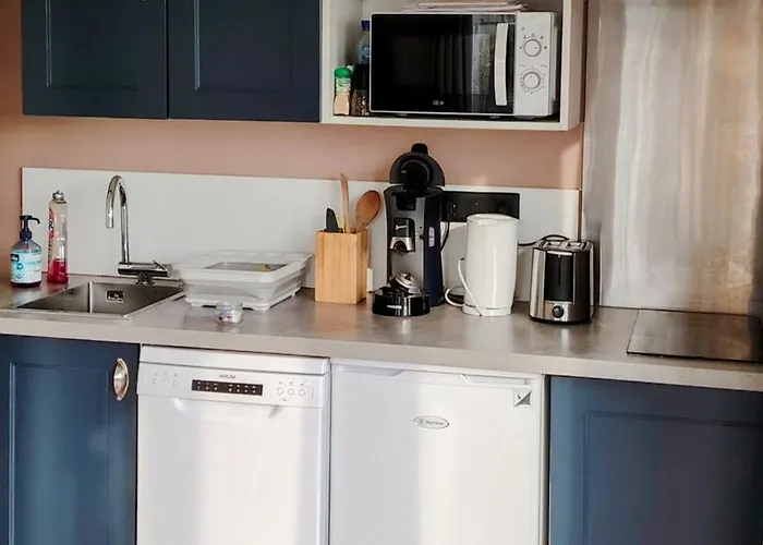 Moderne Avec Grandes Baies Vitrees Et Espace Plancha Bussy-le-Repos