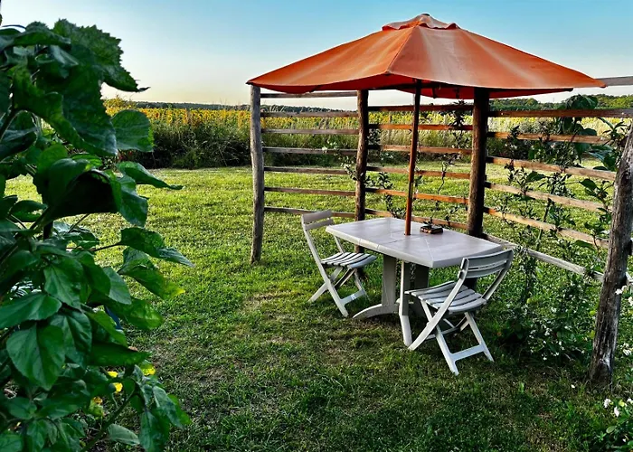 Moderne Avec Grandes Baies Vitrees Et Espace Plancha Bussy-le-Repos