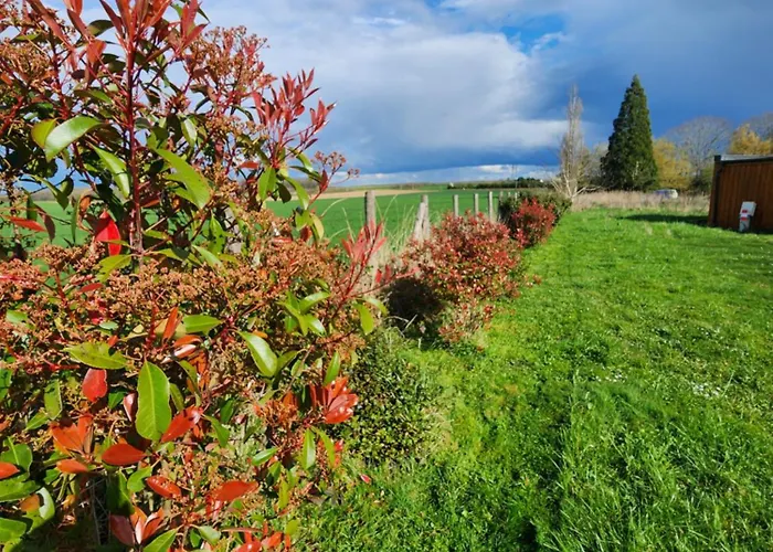 Moderne Avec Grandes Baies Vitrees Et Espace Plancha Bussy-le-Repos